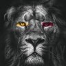 pincarto profil fotoğrafı