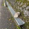 すはら 的头像