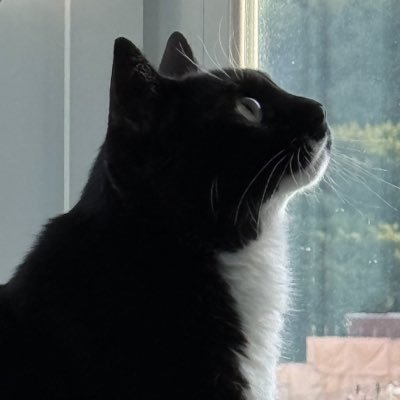 🤍올리와 가족찾는 힝코🖤's profile picture