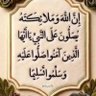 Saeid Elshreef's profile picture