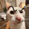 W profil fotoğrafı