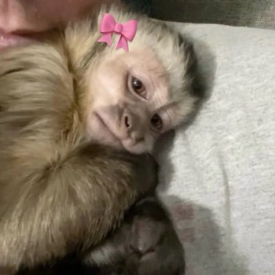 E's profile picture