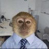 vinley.ke's profile picture