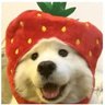 Profilbild von l𝘴𝘢𝘺𝘢𝘢