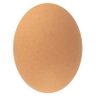 lov's profile picture