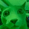 I_ran0utofnames's profile picture