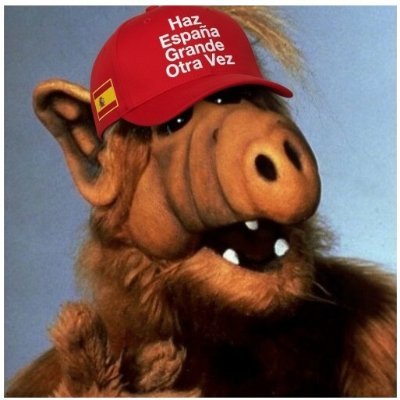 ALF ¡¡ Lucky gato maaaalo!! 🇪🇸 💚's profile picture