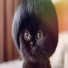 Profilbild von loam