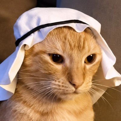 Crude Cat's profile picture