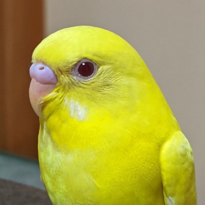 jwKXmtzCV7KEIr4's profile picture