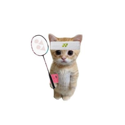 Liselotte caroline's profile picture