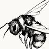 Фото профиля bee🐝mi