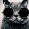 Sarah Wilson's profile picture