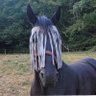 Profilbild von StreamShotClipz