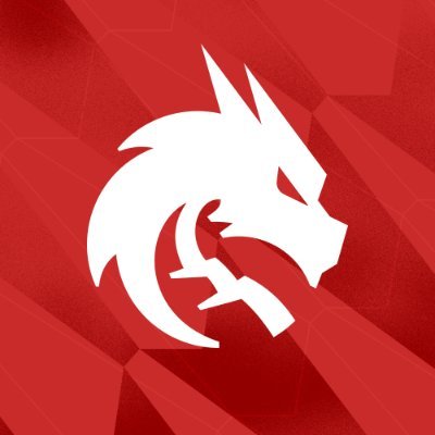 TSpirit_Dota2's profile picture