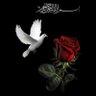 سيد جاسم الصافي profil fotoğrafı