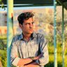 محمد الغزالي's profile picture