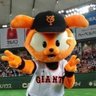 坂本とMBSは神 profil fotoğrafı
