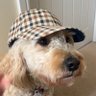 charlie's profile picture