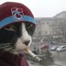 Kedy61 profil fotoğrafı