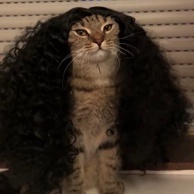BlackTransLover's profile picture