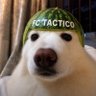 FC Tactico's profile picture