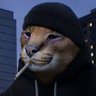 Фото профиля mr.silly cat