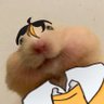 Profilbild von hanzu 🍌⚙️