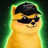 LowCap Hunter's profile picture