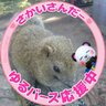 しずく's profile picture