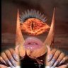 Fleur Oxetine's profile picture