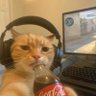 Profilbild von Mike Oxhard