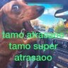 zachizaxito's profile picture