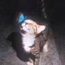 Senn87's profile picture