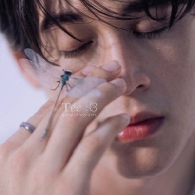 𝐓𝑒𝑒 ؛ଓ's profile picture