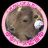 ちき profil fotoğrafı
