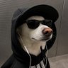 HibeRnatE_06's profile picture