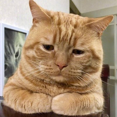 พิจ้านเป็นเซนเตอร์พระเจ้า (fan account)'s profile picture