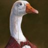 Фото профиля turpin aime