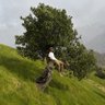 ماهان هیکلیان profil fotoğrafı