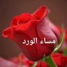 ابومحمد ✍️ جراح العيون profil fotoğrafı