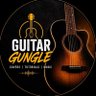 Guitar-ms profil fotoğrafı