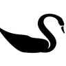 Black Swan profil fotoğrafı