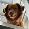 Dme profil fotoğrafı