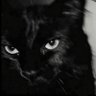 suffer's profile picture