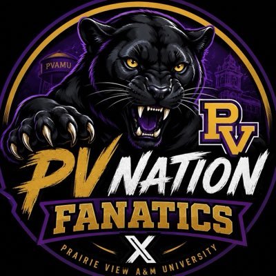 pvnationfans's profile picture
