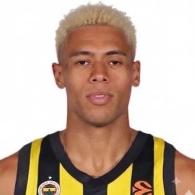 fenerlisikoles's profile picture