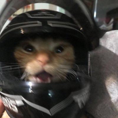 jpx566's profile picture