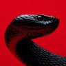 venlafaxiner's profile picture
