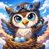 nest wing profil fotoğrafı
